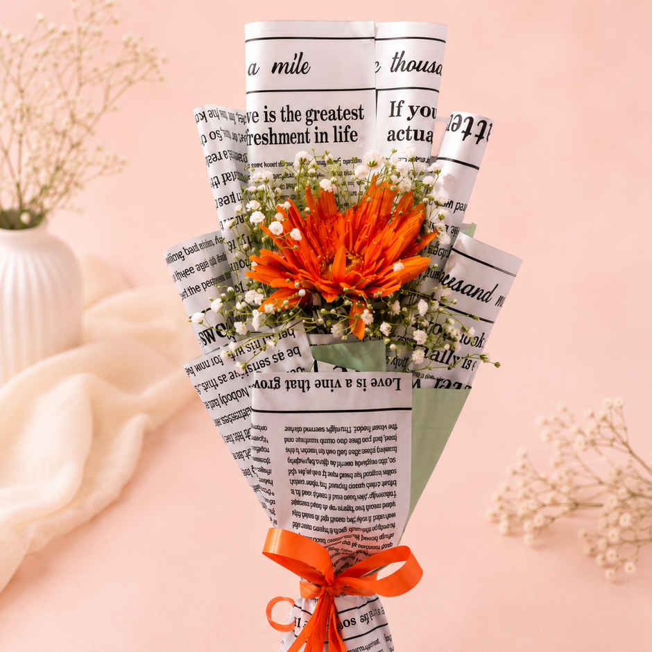 Single Gerbera Bouquet | Gifting