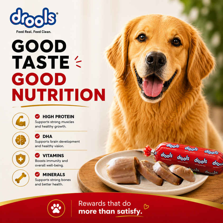 Drools 100% Real Chicken Sausage Dog Treat - Pack of 6