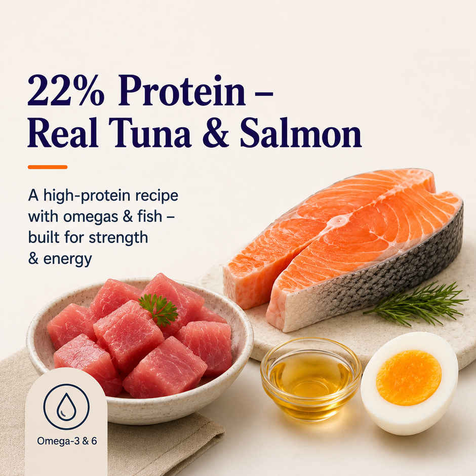 Maxi Tuna | Salmon Dry Cat FOOD