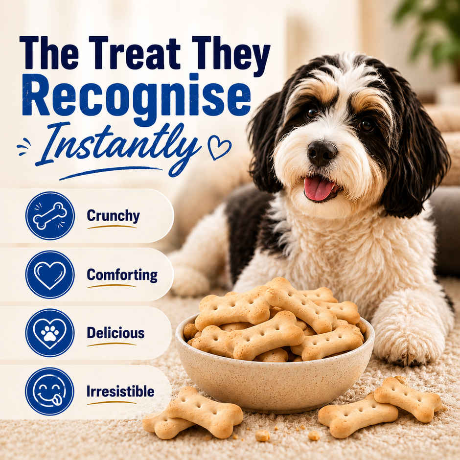 Purepet Milk Flavour Dog Biscuit Treats Jar