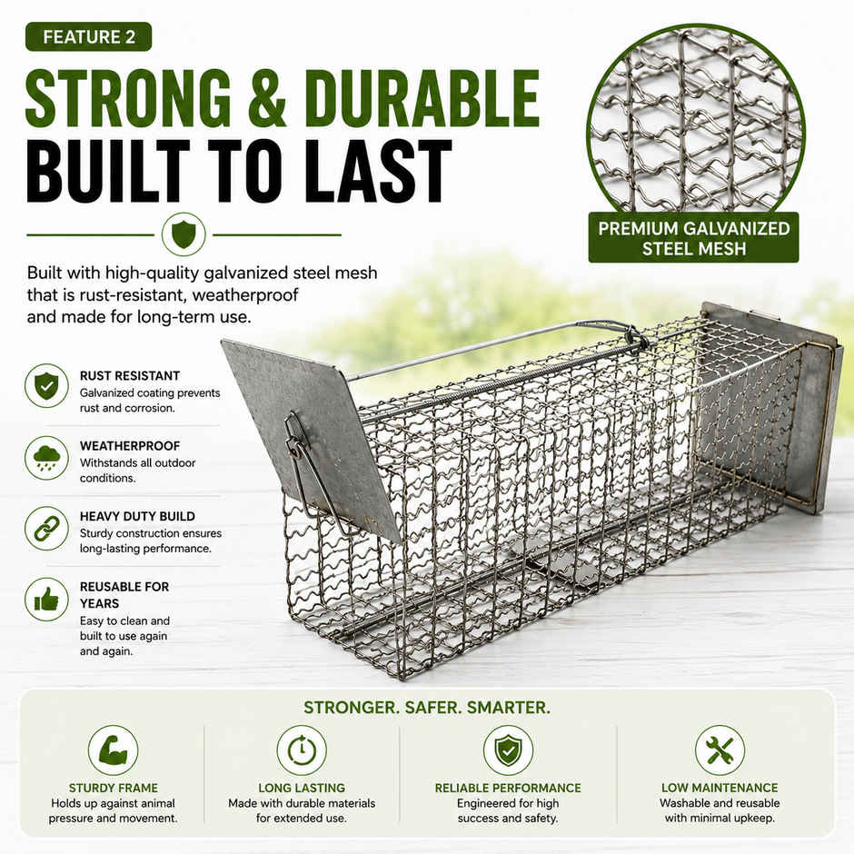 Jags Rat Cage
