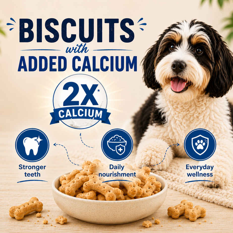 Purepet Milk Flavour Dog Biscuit Treats Jar