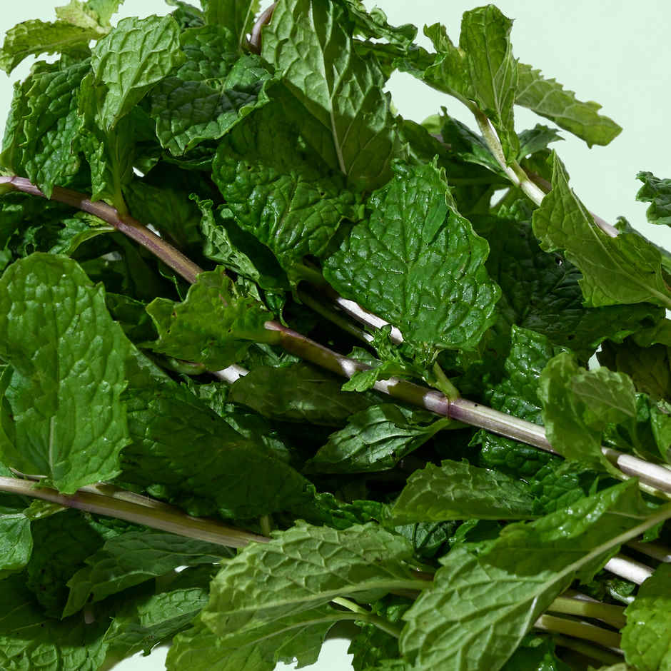 Bloom Mint Leaves