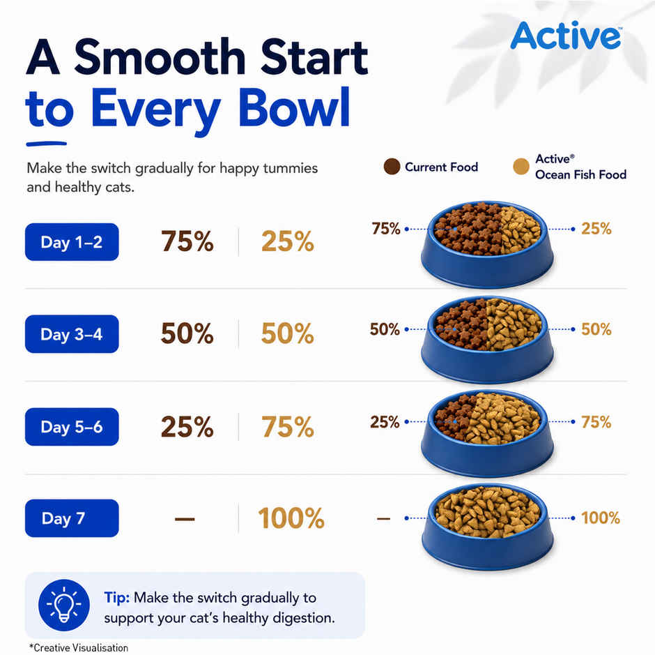 Active Ocean Fish Dry Adult Cat Food (Buy 1 Get 1 Free)