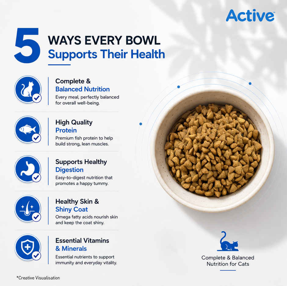 Active Ocean Fish Dry Adult Cat Food (Buy 1 Get 1 Free)