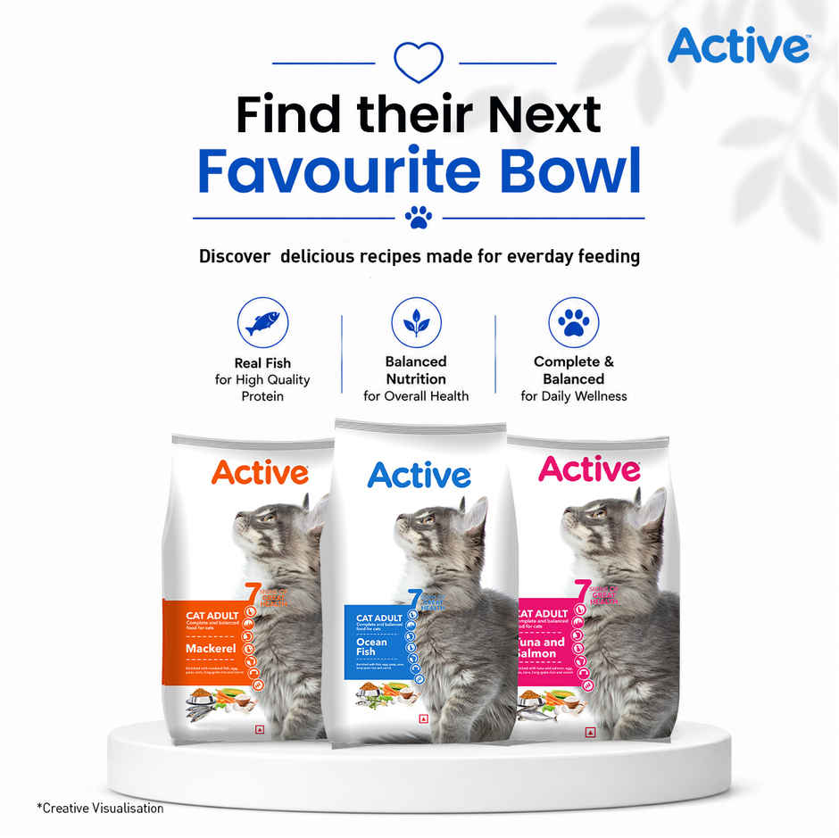 Active Ocean Fish Dry Adult Cat Food (Buy 1 Get 1 Free)