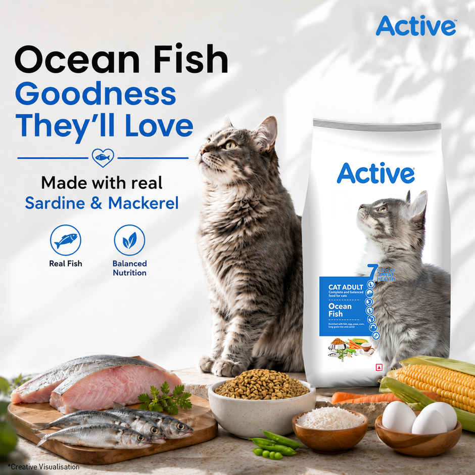 Active Ocean Fish Dry Adult Cat Food