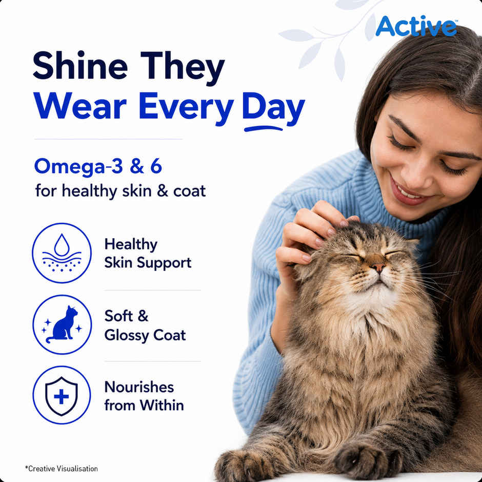 Active Ocean Fish Dry Adult Cat Food