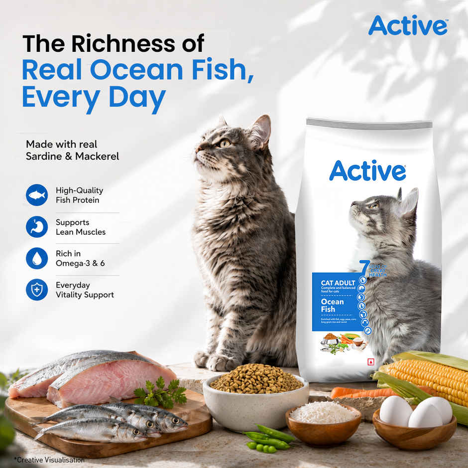 Active Ocean Fish Dry Adult Cat Food
