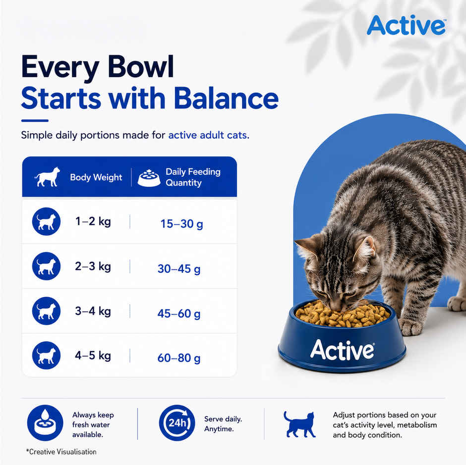 Active Ocean Fish Dry Adult Cat Food (Buy 1 Get 1 Free)