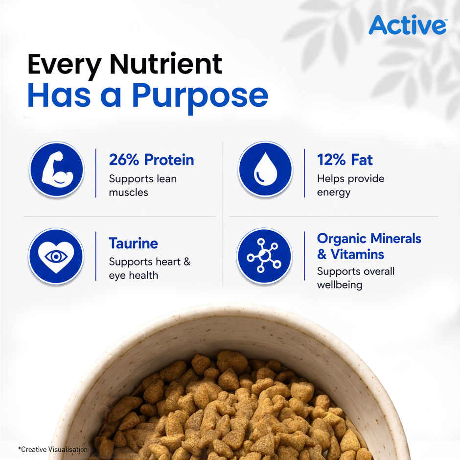 Active Ocean Fish Dry Adult Cat Food