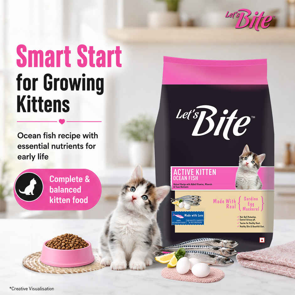 Let's Bite Active Kitten Ocean Fish Dry Cat Food (Buy 1 Get 1 Free)