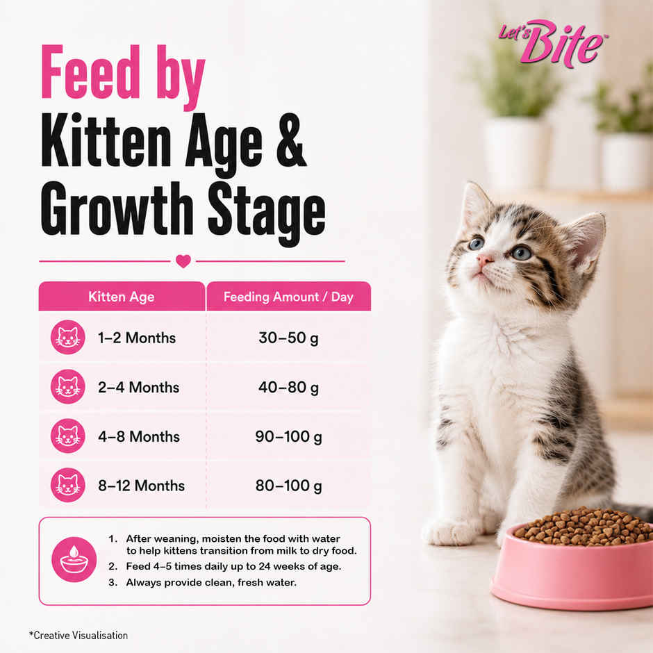 Let's Bite Active Kitten Ocean Fish Dry Cat Food (Buy 1 Get 1 Free)