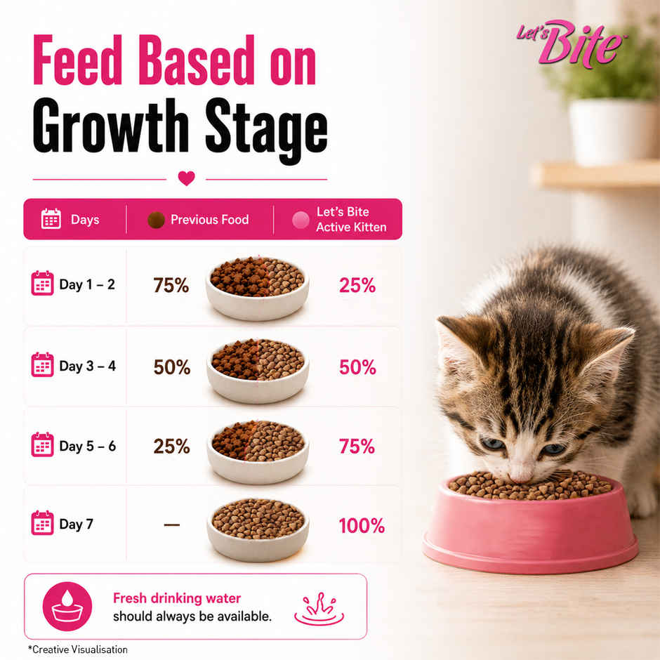 Let's Bite Active Kitten Ocean Fish Dry Cat Food (Buy 1 Get 1 Free)