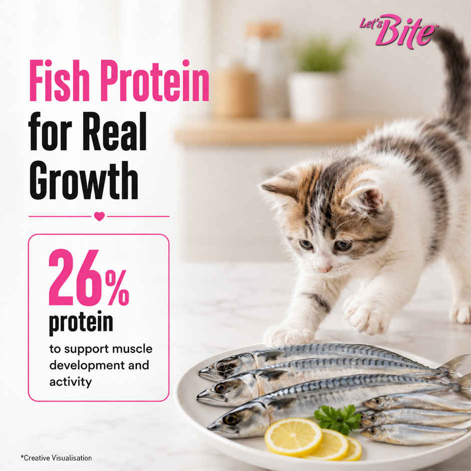 Let's Bite Active Kitten Ocean Fish Dry Cat Food (Buy 1 Get 1 Free)
