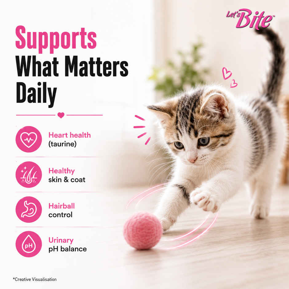 Let's Bite Active Kitten Ocean Fish Dry Cat Food (Buy 1 Get 1 Free)