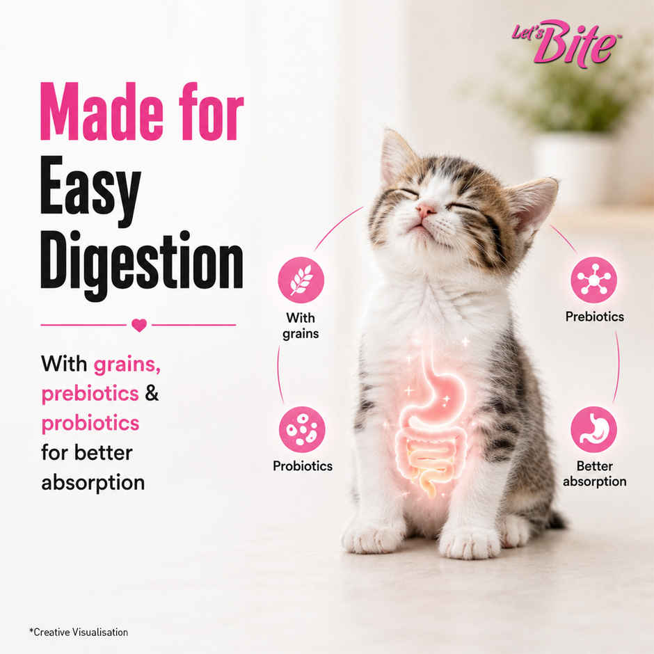 Let's Bite Active Kitten Ocean Fish Dry Cat Food (Buy 1 Get 1 Free)