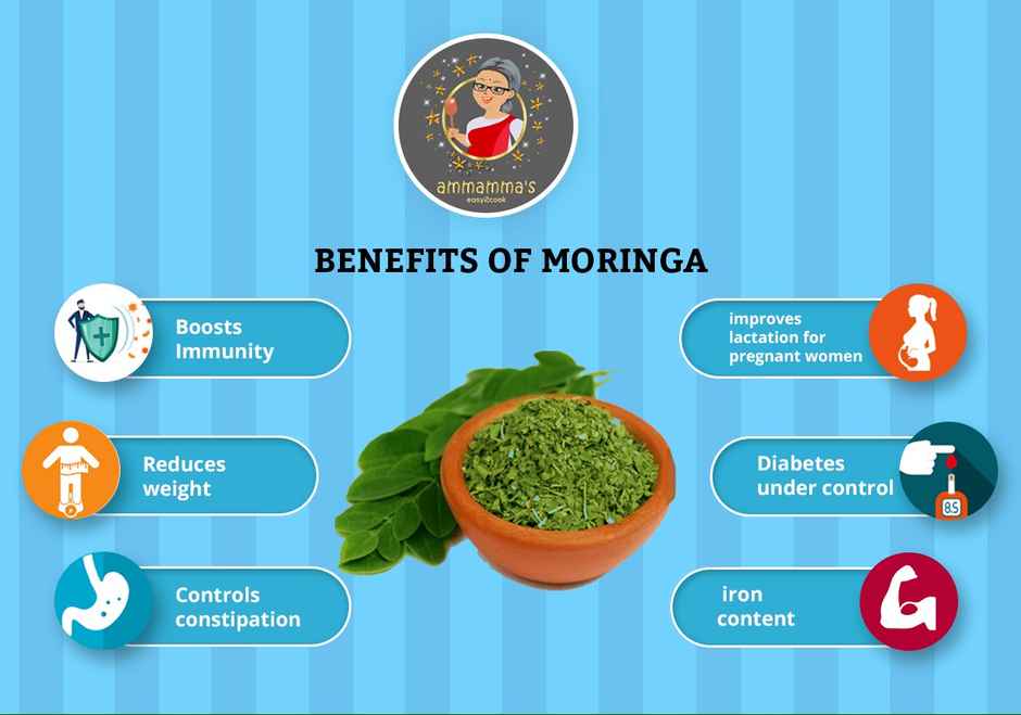 Ammamma's Moringa Chapati