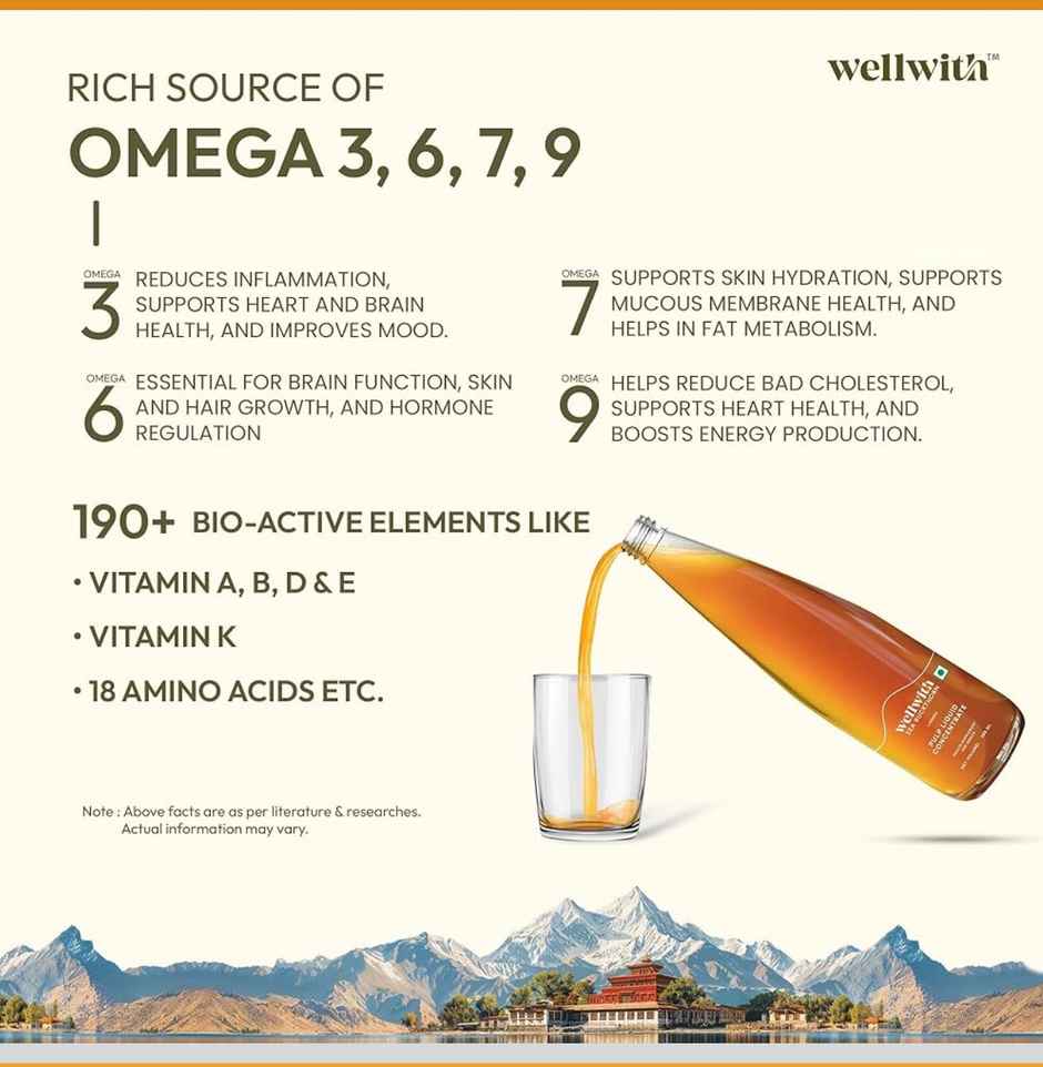 Wellwith Sea Buckthorn Pulp