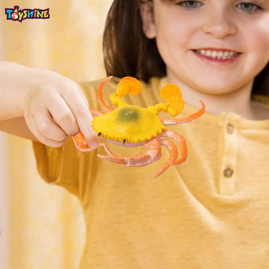 Toyshine Sea World Animals Toy Figure Playing Set for Kids (Pack of 17)