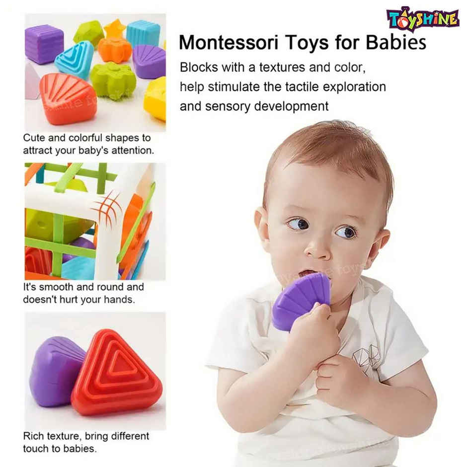 Toyshine Shape Sorter Montessori Toy, Activity Cube for Babies & Toddlers, 6-18 Months