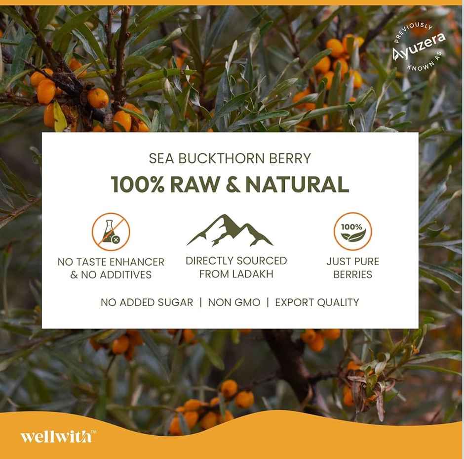 Wellwith Sea Buckthorn Pulp
