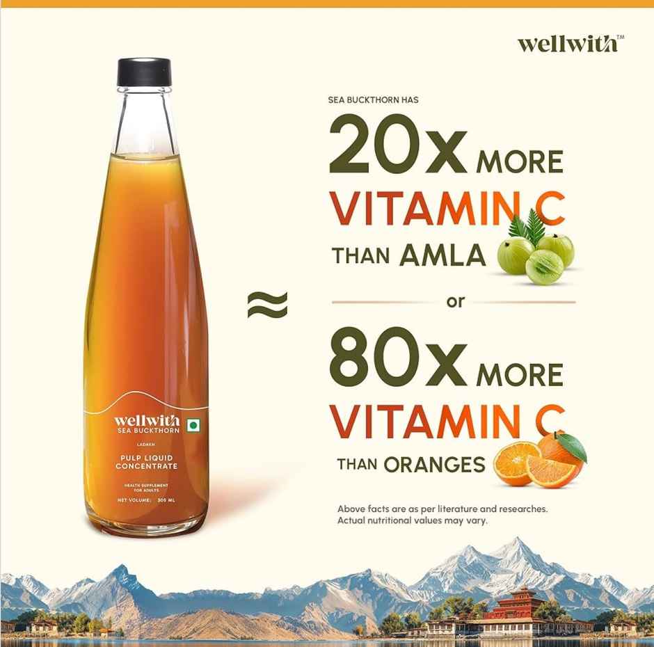 Wellwith Sea Buckthorn Pulp