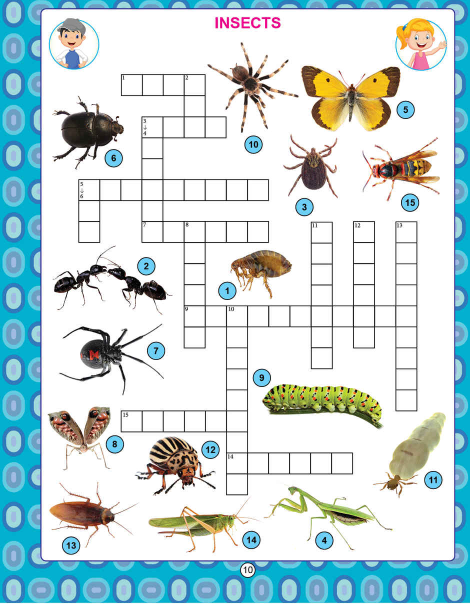 Dreamland My Activity Crossword Activity Book for Kids | Age 2 to 5