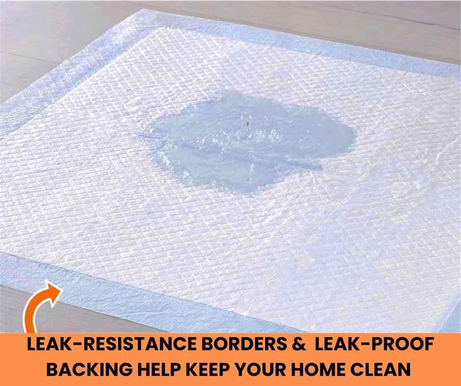 Poodlemart Pet Training Pad