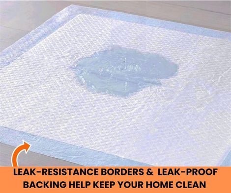 Poodlemart Pet Training Pad