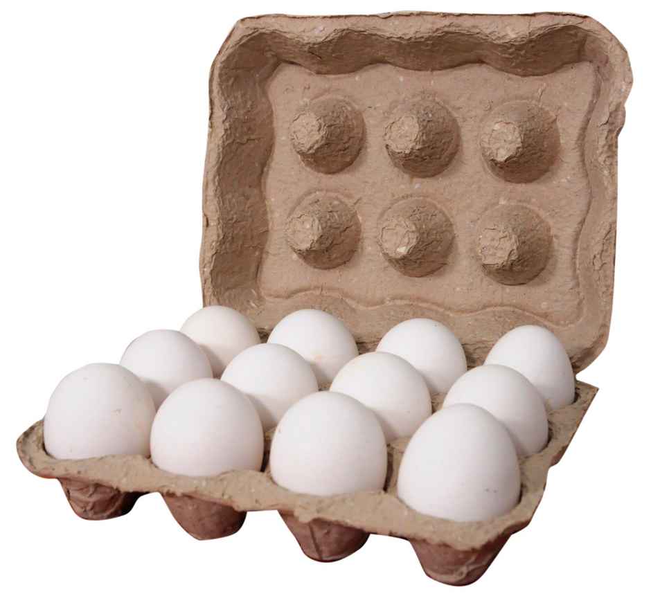 Nutri Hatch Farm Made White Eggs