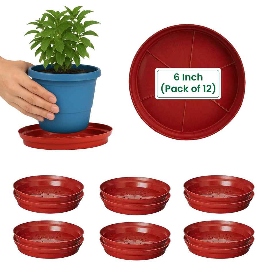 Cinagro 6 Inch Planter Bottom Trays | Durable Plastic | Plant Drip Trays/Saucer