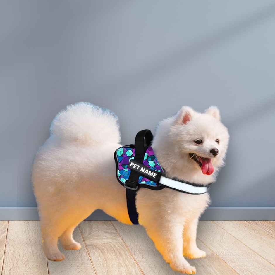 Payton Perry Dog Harness | Choke-Free | Adjustable Neck & Chest | For 2-4 kg Pet | Blue Diamond - XS