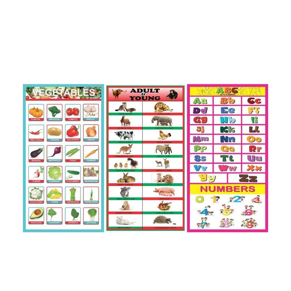 Paper Plane Design Kids Early Learning Educational Posters | Set Of 10 | Size 12 x 18 Inch | D15