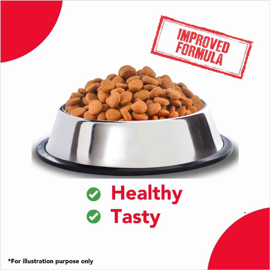 Active Adult Chicken And Vegetables Dry Dog Food