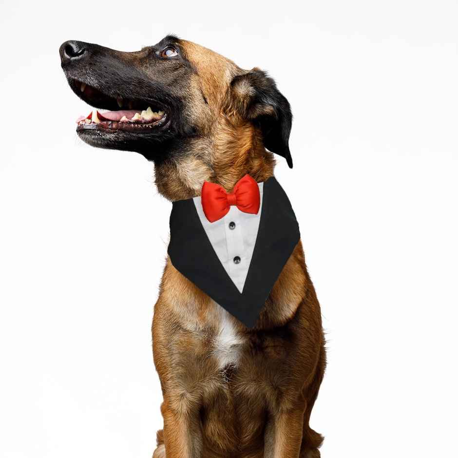 Pawsindia Black and White Tuxedo Bandana with Red Bow For Dogs - L