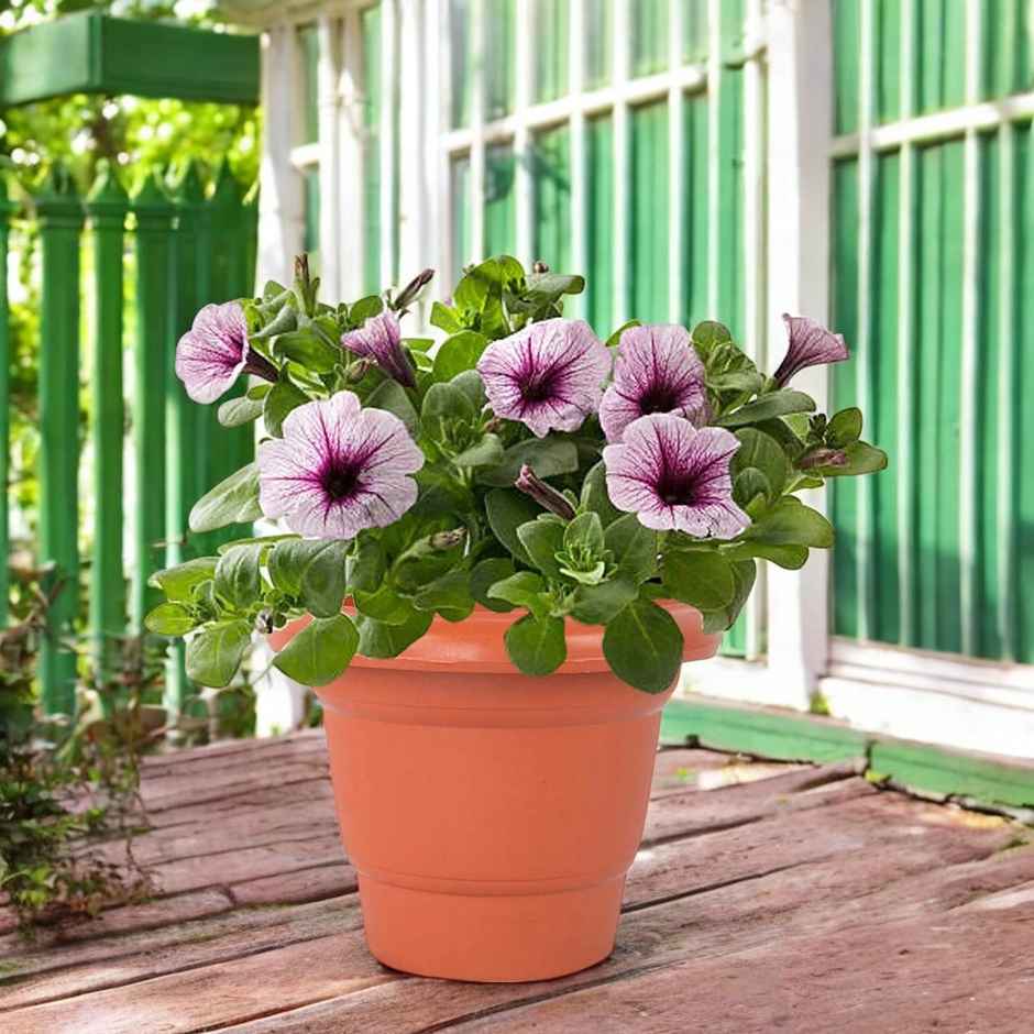 Leafy Tales Plastic Pots, Terracotta Color 10 Inch Pot Size, 2 Pieces, Big (10" Terracotta Pot - 2)