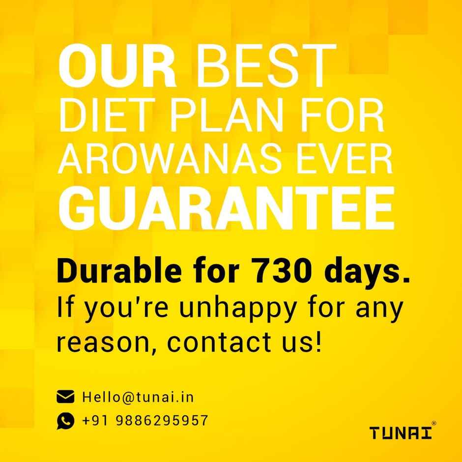Tunai Arowana Food Sticks For Adults