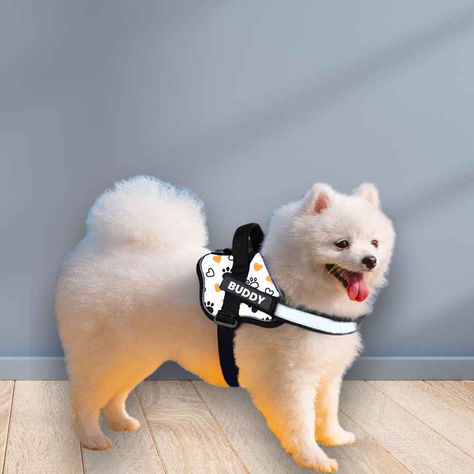 Payton Perry Dog Harness | Choke-Free | Adjustable Neck & Chest | For 24-35 kg Pet | White Paw - L