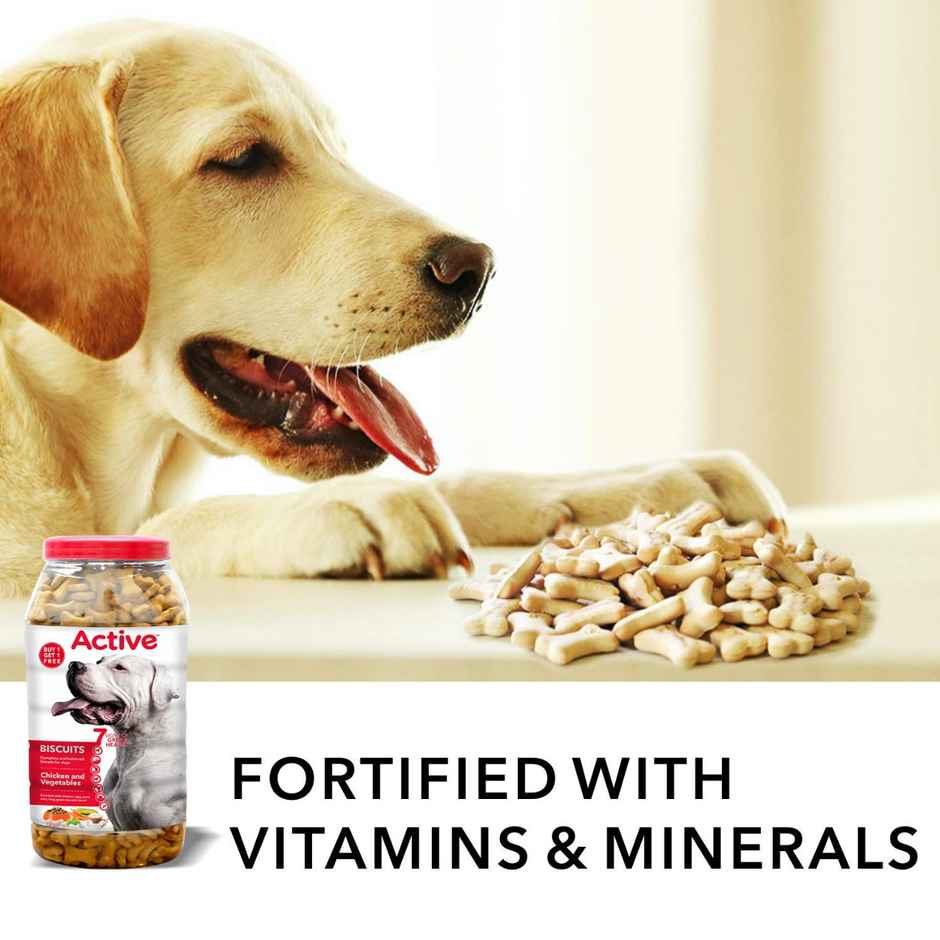 Active Chicken Flavour Biscuits Dog Treat (Buy 1 Get 1 Free)