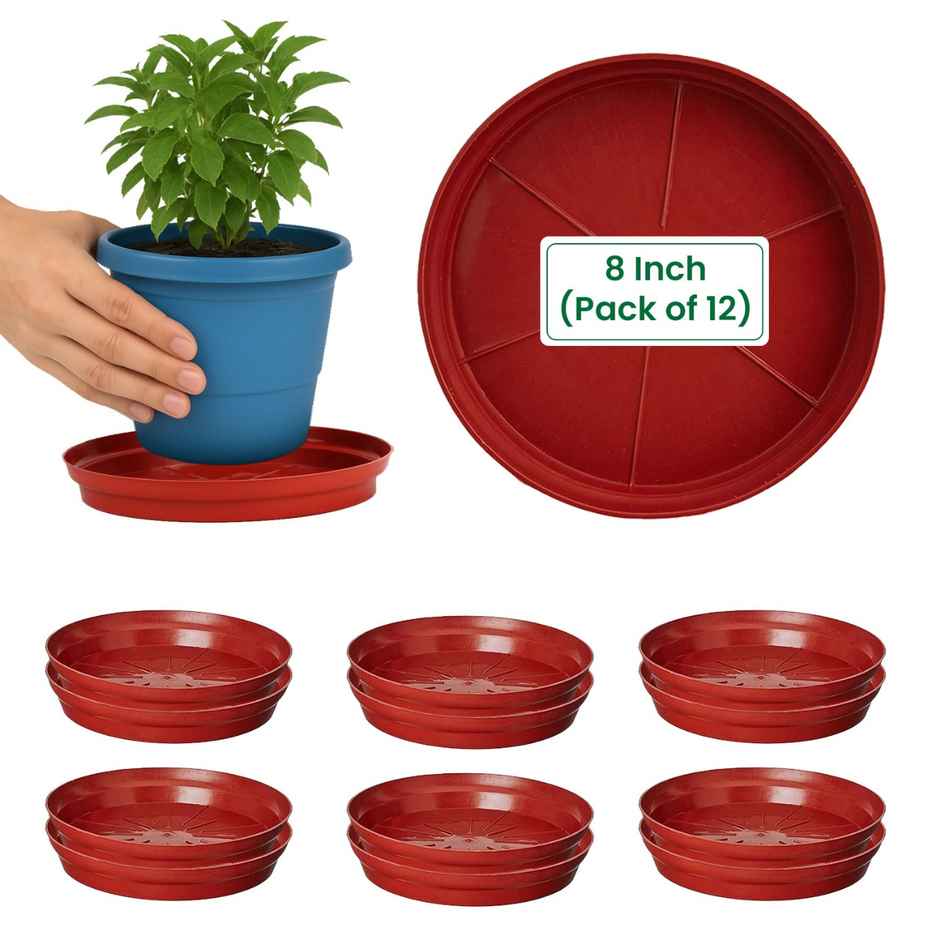 Cinagro 8 Inch Planter Bottom Trays | Durable Plastic | Plant Drip Trays/Saucer
