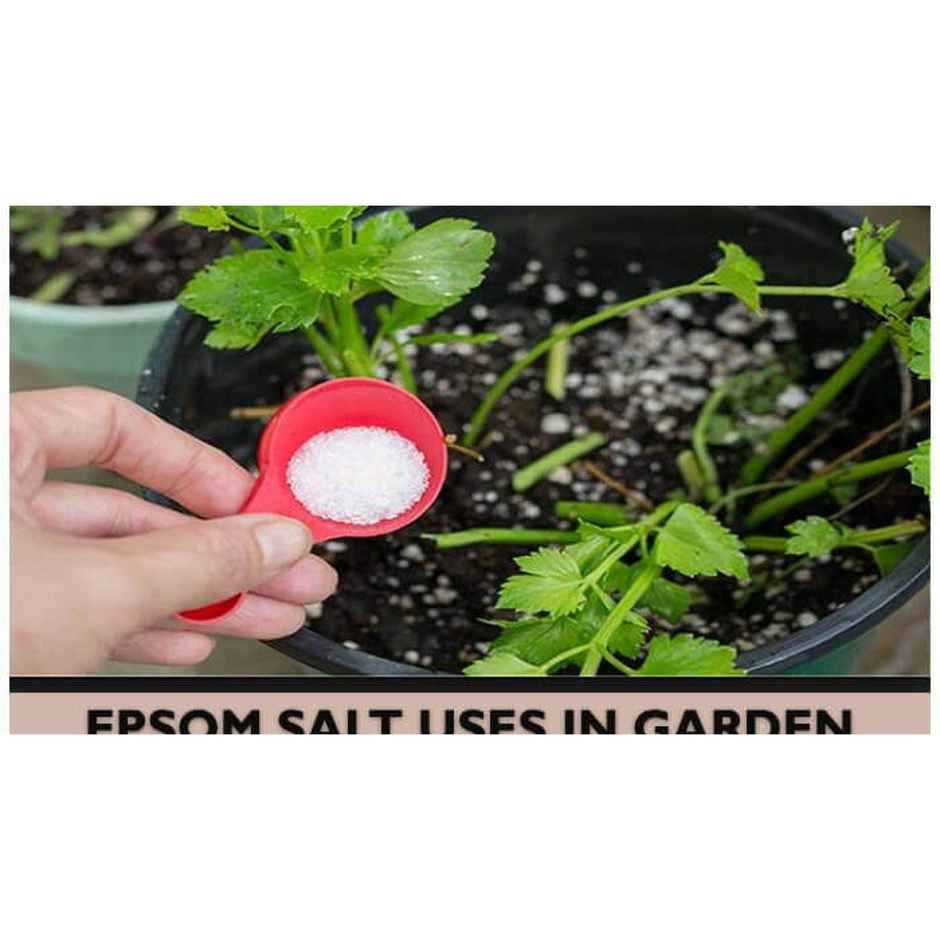 Gardens Coir Epsom Salt For Plants | Home Gardening
