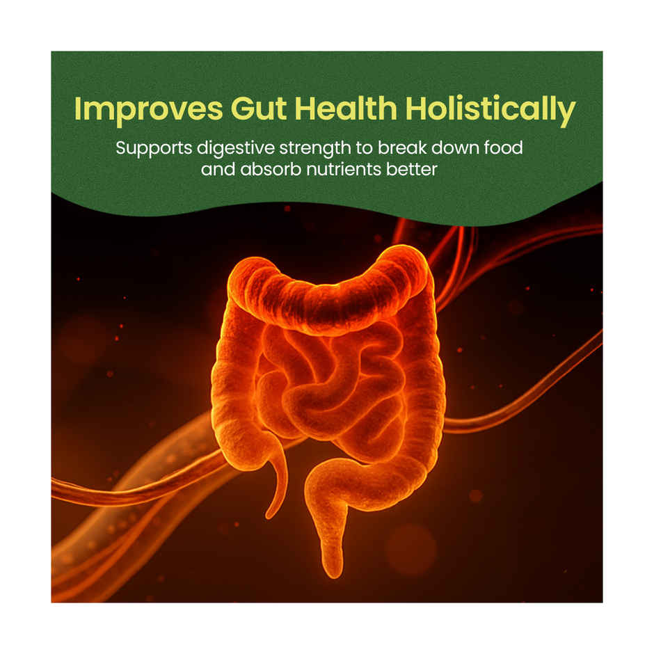 Kerala Ayurveda Triphala Tablets | Ayurvedic Gut Health & Constipation Relief | Supports Digestion