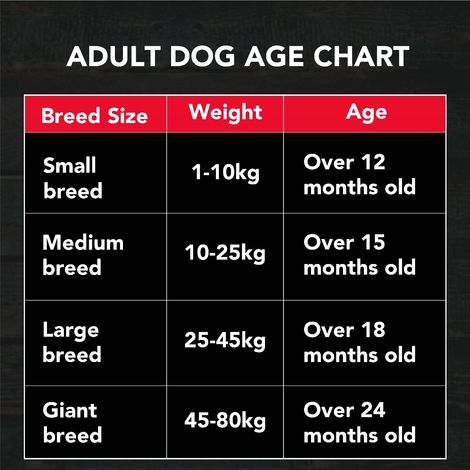 Active Adult Chicken And Vegetables Dry Dog Food