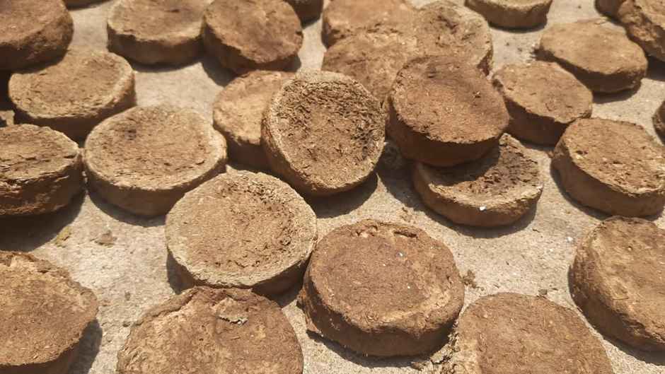 Divine Vibes Cow Dung Cake | Pack Of 9