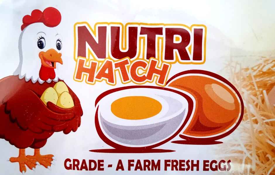 Nutri Hatch Farm Made White Eggs