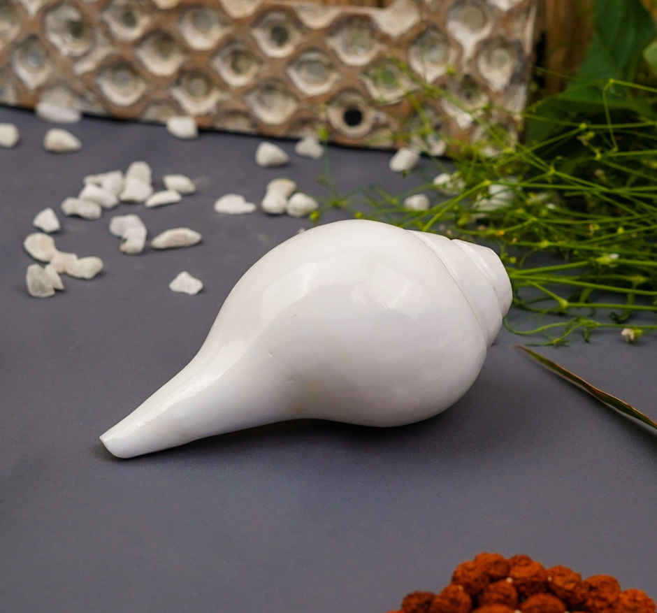 Vishnu Blowing Shankh 5 Inch By Servdharm