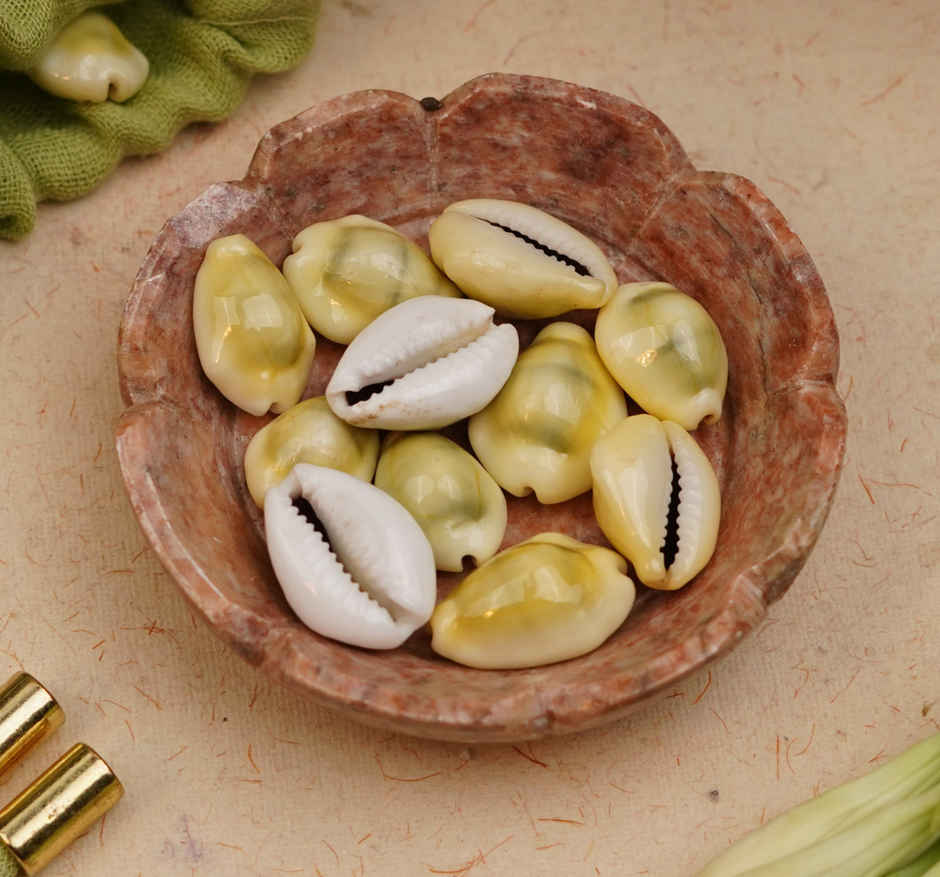 Kaudi Shells | ServDharm