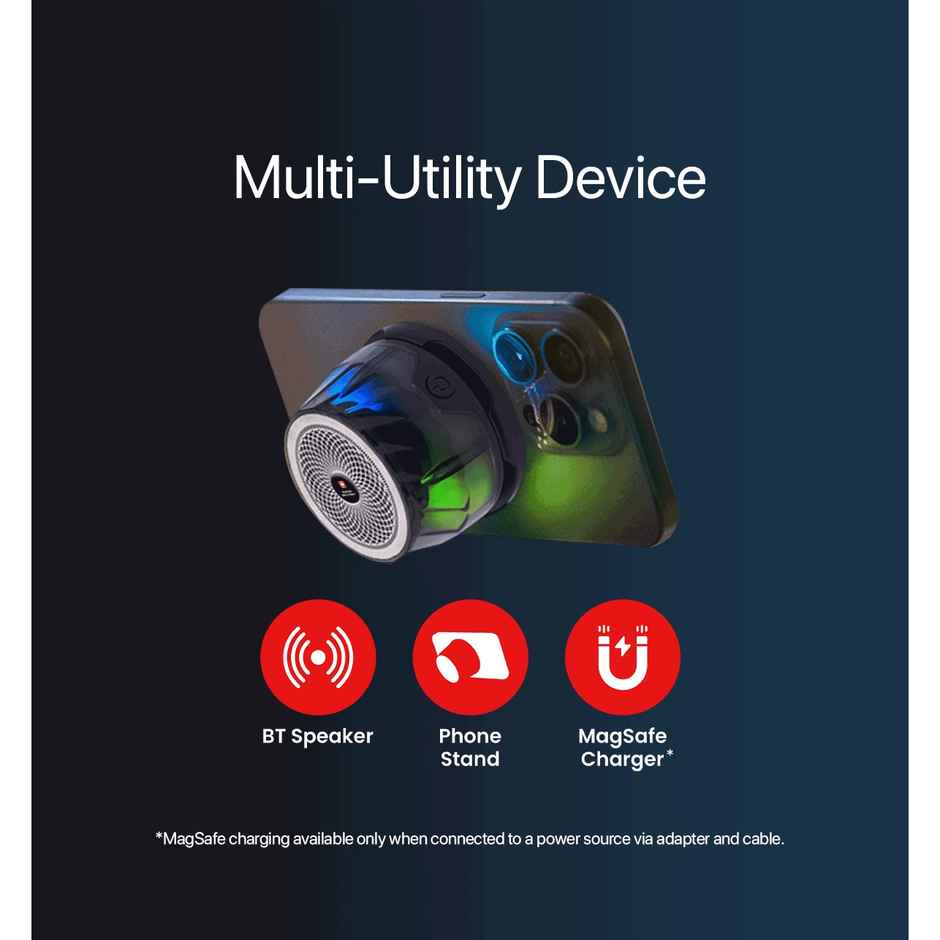 Swiss Military Audio Ancha Mag Bee Speaker