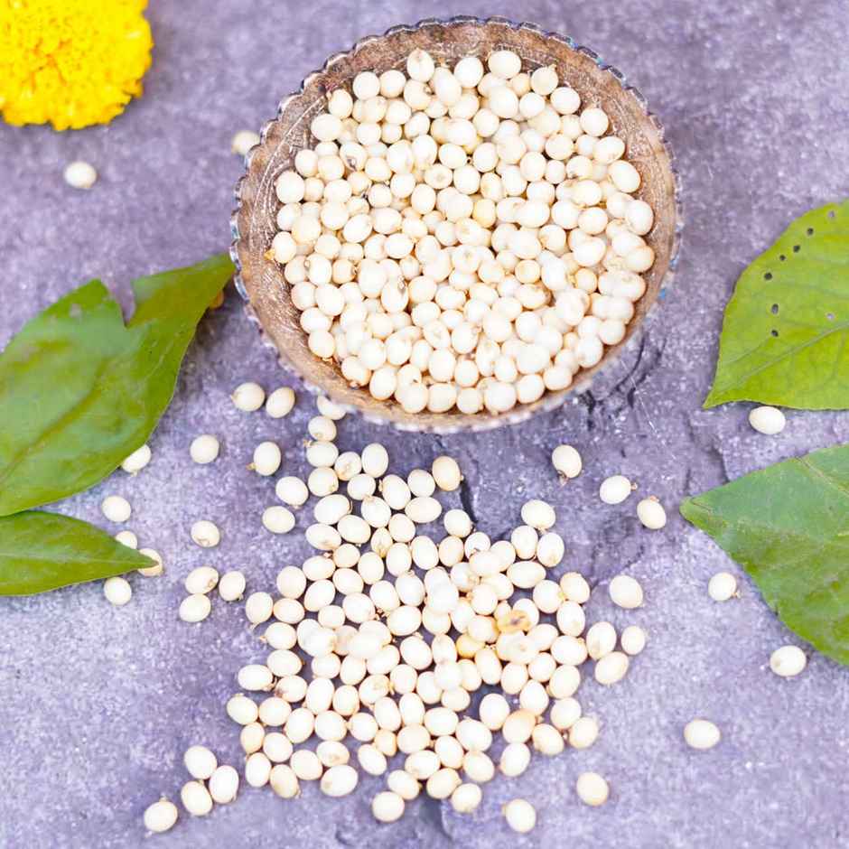 White Gunja (Chirmi) Seeds | Auspicious Buy | ServDharm